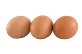 whole eggs are a healthy fat loss food
